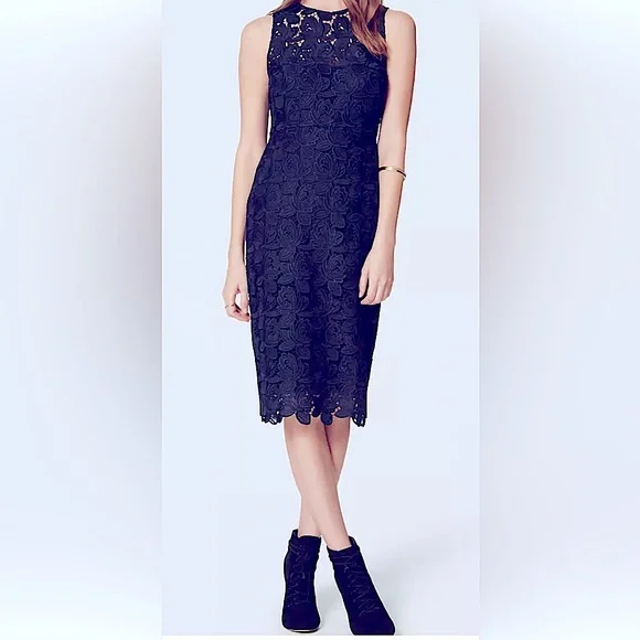 Gorgeous Navy Blue Lace Sheath Dress Gorgeous Navy Blue Lace Sheath Dress